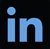 LI icon
